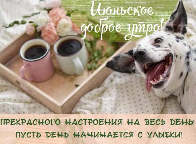 с добрым июньским утром и хорошим днем. Смотреть фото с добрым июньским утром и хорошим днем. Смотреть картинку с добрым июньским утром и хорошим днем. Картинка про с добрым июньским утром и хорошим днем. Фото с добрым июньским утром и хорошим днем