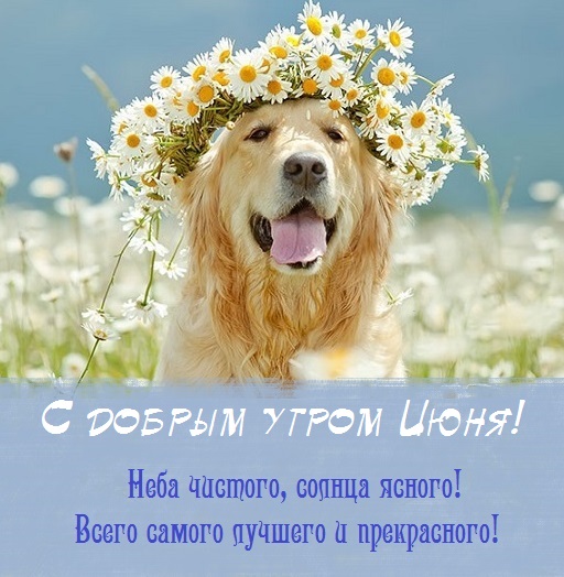 с добрым июньским утром и хорошим днем. Смотреть фото с добрым июньским утром и хорошим днем. Смотреть картинку с добрым июньским утром и хорошим днем. Картинка про с добрым июньским утром и хорошим днем. Фото с добрым июньским утром и хорошим днем
