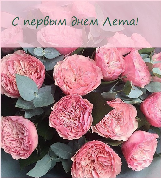с первым днем лета фото красивые. Смотреть фото с первым днем лета фото красивые. Смотреть картинку с первым днем лета фото красивые. Картинка про с первым днем лета фото красивые. Фото с первым днем лета фото красивые