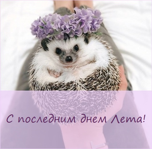 с последним днем лета картинки с надписями. Смотреть фото с последним днем лета картинки с надписями. Смотреть картинку с последним днем лета картинки с надписями. Картинка про с последним днем лета картинки с надписями. Фото с последним днем лета картинки с надписями
