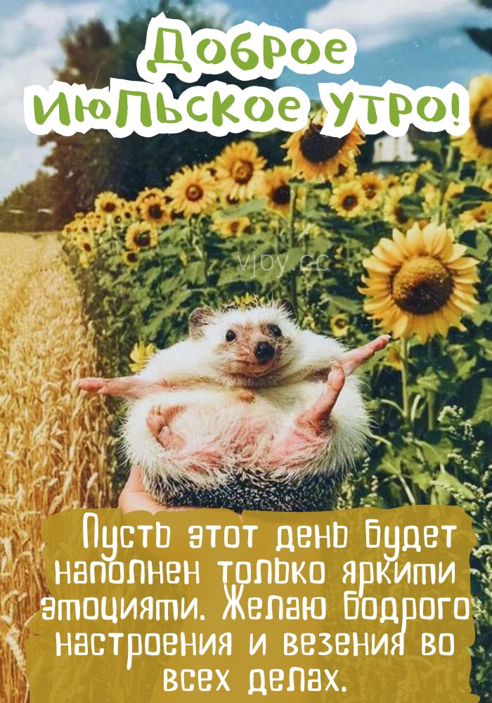 Доброе июльское утро! - картинка. 