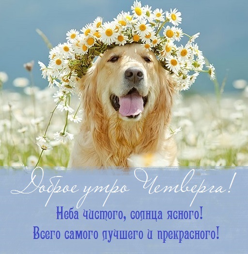 с добрым летним днем четверга. Смотреть фото с добрым летним днем четверга. Смотреть картинку с добрым летним днем четверга. Картинка про с добрым летним днем четверга. Фото с добрым летним днем четверга