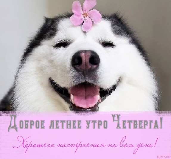 с добрым летним днем четверга. Смотреть фото с добрым летним днем четверга. Смотреть картинку с добрым летним днем четверга. Картинка про с добрым летним днем четверга. Фото с добрым летним днем четверга