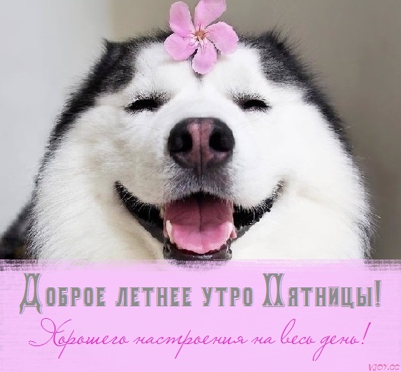 открытка с добрым утром хорошего дня летняя пятница. Смотреть фото открытка с добрым утром хорошего дня летняя пятница. Смотреть картинку открытка с добрым утром хорошего дня летняя пятница. Картинка про открытка с добрым утром хорошего дня летняя пятница. Фото открытка с добрым утром хорошего дня летняя пятница