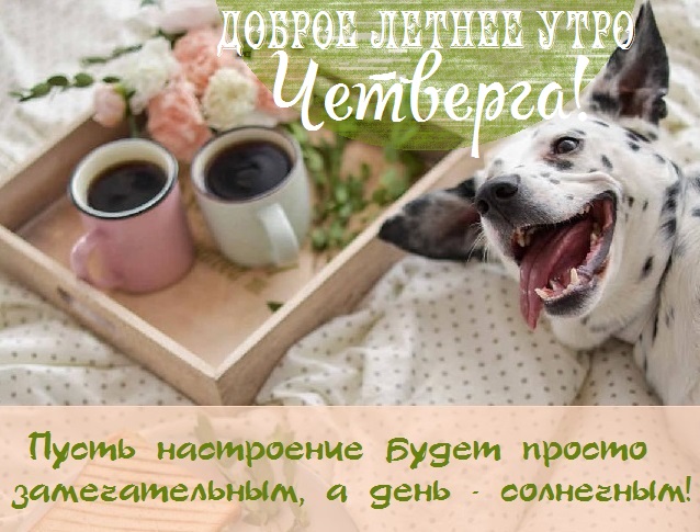 с добрым летним днем четверга. Смотреть фото с добрым летним днем четверга. Смотреть картинку с добрым летним днем четверга. Картинка про с добрым летним днем четверга. Фото с добрым летним днем четверга