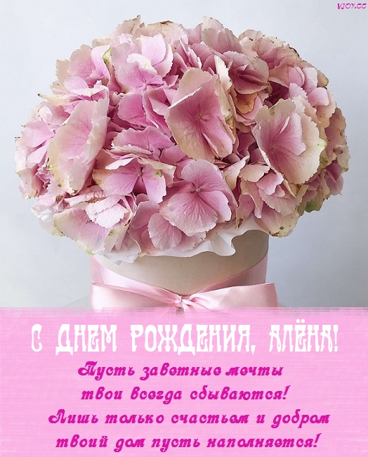 цветы для алены в день рождения. Смотреть фото цветы для алены в день рождения. Смотреть картинку цветы для алены в день рождения. Картинка про цветы для алены в день рождения. Фото цветы для алены в день рождения