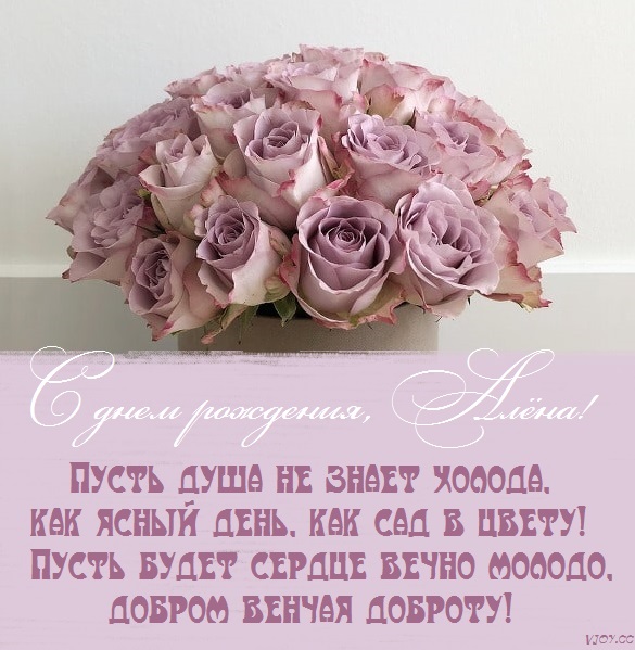 цветы для алены в день рождения. Смотреть фото цветы для алены в день рождения. Смотреть картинку цветы для алены в день рождения. Картинка про цветы для алены в день рождения. Фото цветы для алены в день рождения