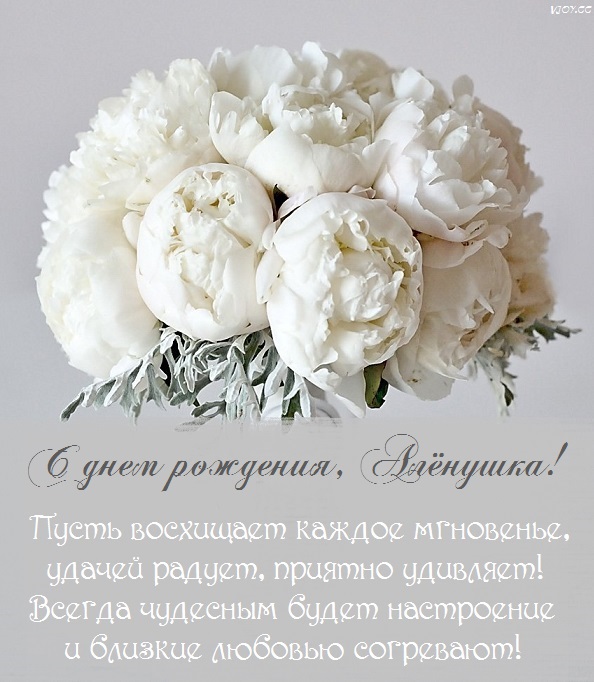 цветы для алены в день рождения. Смотреть фото цветы для алены в день рождения. Смотреть картинку цветы для алены в день рождения. Картинка про цветы для алены в день рождения. Фото цветы для алены в день рождения