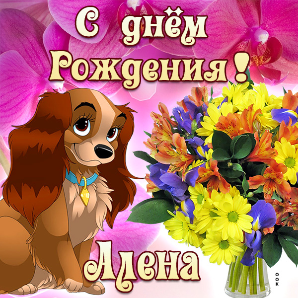 цветы для алены в день рождения. Смотреть фото цветы для алены в день рождения. Смотреть картинку цветы для алены в день рождения. Картинка про цветы для алены в день рождения. Фото цветы для алены в день рождения