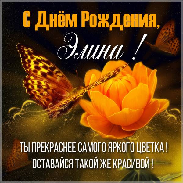 с днем рождения элика картинки. Смотреть фото с днем рождения элика картинки. Смотреть картинку с днем рождения элика картинки. Картинка про с днем рождения элика картинки. Фото с днем рождения элика картинки