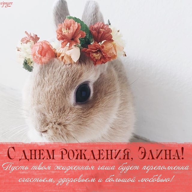 с днем рождения элика картинки. Смотреть фото с днем рождения элика картинки. Смотреть картинку с днем рождения элика картинки. Картинка про с днем рождения элика картинки. Фото с днем рождения элика картинки