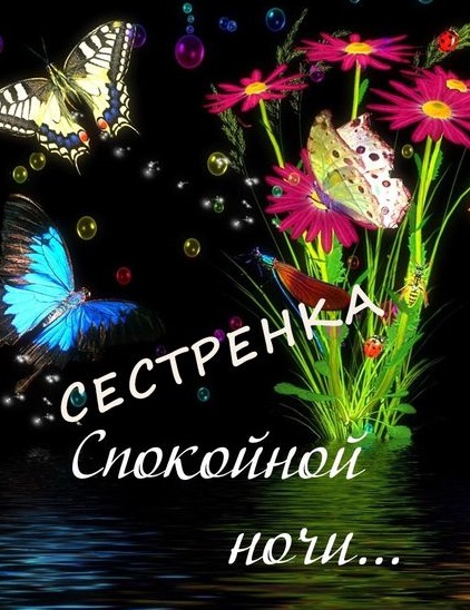 Картинки спокойной ночи сладких снов сестренка. Смотреть фото Картинки спокойной ночи сладких снов сестренка. Смотреть картинку Картинки спокойной ночи сладких снов сестренка. Картинка про Картинки спокойной ночи сладких снов сестренка. Фото Картинки спокойной ночи сладких снов сестренка