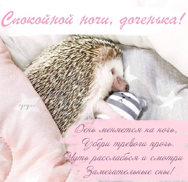 Картинки приятных снов доченька. Смотреть фото Картинки приятных снов доченька. Смотреть картинку Картинки приятных снов доченька. Картинка про Картинки приятных снов доченька. Фото Картинки приятных снов доченька