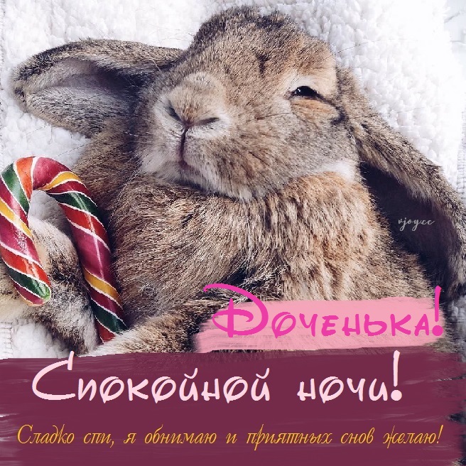 Картинки приятных снов доченька. Смотреть фото Картинки приятных снов доченька. Смотреть картинку Картинки приятных снов доченька. Картинка про Картинки приятных снов доченька. Фото Картинки приятных снов доченька