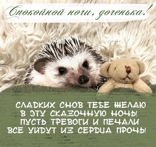 Картинки приятных снов доченька. Смотреть фото Картинки приятных снов доченька. Смотреть картинку Картинки приятных снов доченька. Картинка про Картинки приятных снов доченька. Фото Картинки приятных снов доченька