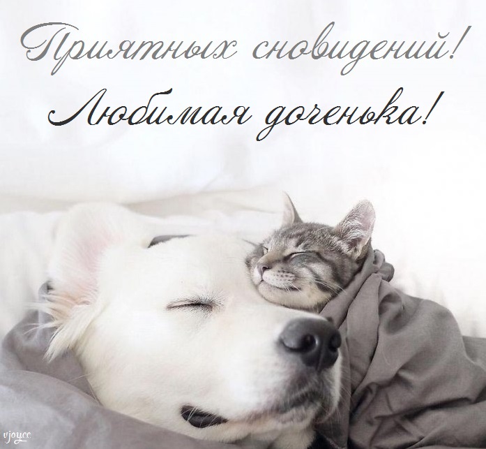 Картинки приятных снов доченька. Смотреть фото Картинки приятных снов доченька. Смотреть картинку Картинки приятных снов доченька. Картинка про Картинки приятных снов доченька. Фото Картинки приятных снов доченька