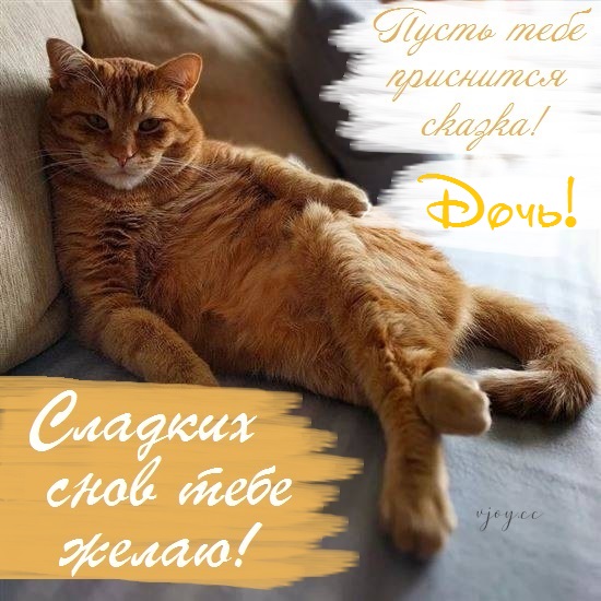 Картинки приятных снов доченька. Смотреть фото Картинки приятных снов доченька. Смотреть картинку Картинки приятных снов доченька. Картинка про Картинки приятных снов доченька. Фото Картинки приятных снов доченька