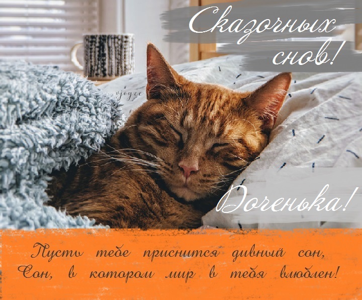 Картинки приятных снов доченька. Смотреть фото Картинки приятных снов доченька. Смотреть картинку Картинки приятных снов доченька. Картинка про Картинки приятных снов доченька. Фото Картинки приятных снов доченька