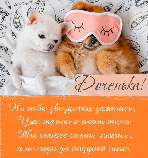 Картинки приятных снов доченька. Смотреть фото Картинки приятных снов доченька. Смотреть картинку Картинки приятных снов доченька. Картинка про Картинки приятных снов доченька. Фото Картинки приятных снов доченька