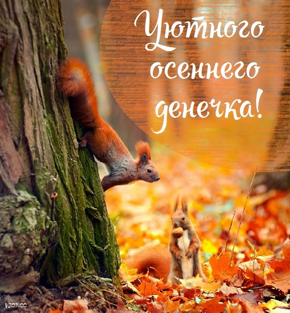 Хорошего Дня Осень Фото
