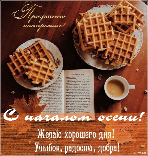 с первым днем осени картинки красивые. Смотреть фото с первым днем осени картинки красивые. Смотреть картинку с первым днем осени картинки красивые. Картинка про с первым днем осени картинки красивые. Фото с первым днем осени картинки красивые