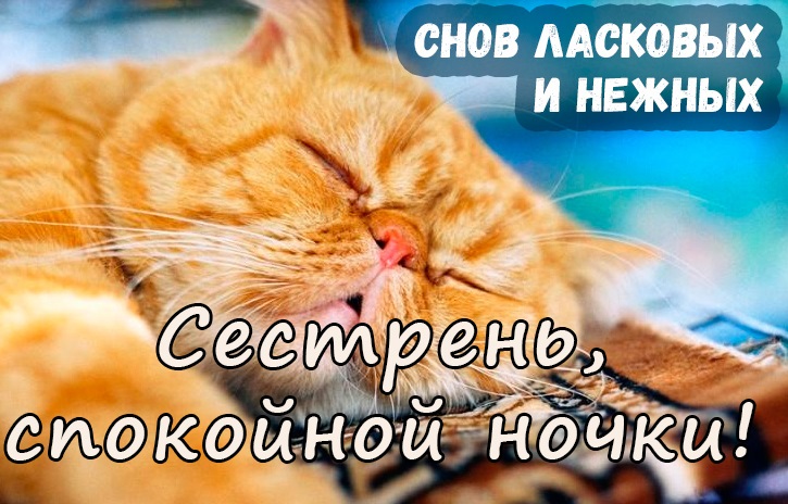 Картинки спокойной ночи сладких снов сестренка. Смотреть фото Картинки спокойной ночи сладких снов сестренка. Смотреть картинку Картинки спокойной ночи сладких снов сестренка. Картинка про Картинки спокойной ночи сладких снов сестренка. Фото Картинки спокойной ночи сладких снов сестренка