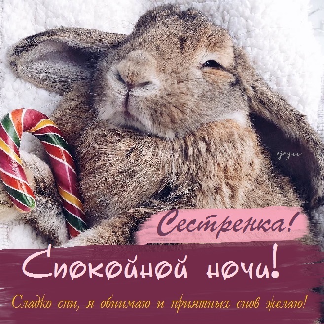 Картинки спокойной ночи сладких снов сестренка. Смотреть фото Картинки спокойной ночи сладких снов сестренка. Смотреть картинку Картинки спокойной ночи сладких снов сестренка. Картинка про Картинки спокойной ночи сладких снов сестренка. Фото Картинки спокойной ночи сладких снов сестренка