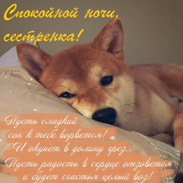 Картинки спокойной ночи сладких снов сестренка. Смотреть фото Картинки спокойной ночи сладких снов сестренка. Смотреть картинку Картинки спокойной ночи сладких снов сестренка. Картинка про Картинки спокойной ночи сладких снов сестренка. Фото Картинки спокойной ночи сладких снов сестренка