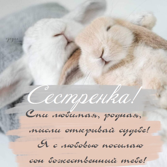 Картинки спокойной ночи сладких снов сестренка. Смотреть фото Картинки спокойной ночи сладких снов сестренка. Смотреть картинку Картинки спокойной ночи сладких снов сестренка. Картинка про Картинки спокойной ночи сладких снов сестренка. Фото Картинки спокойной ночи сладких снов сестренка