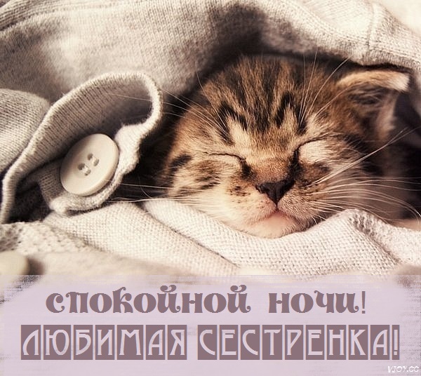 Картинки спокойной ночи сладких снов сестренка. Смотреть фото Картинки спокойной ночи сладких снов сестренка. Смотреть картинку Картинки спокойной ночи сладких снов сестренка. Картинка про Картинки спокойной ночи сладких снов сестренка. Фото Картинки спокойной ночи сладких снов сестренка