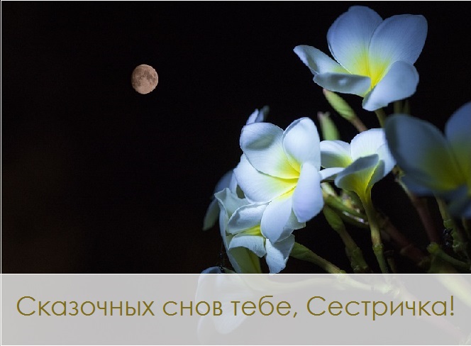 Картинки спокойной ночи сладких снов сестренка. Смотреть фото Картинки спокойной ночи сладких снов сестренка. Смотреть картинку Картинки спокойной ночи сладких снов сестренка. Картинка про Картинки спокойной ночи сладких снов сестренка. Фото Картинки спокойной ночи сладких снов сестренка