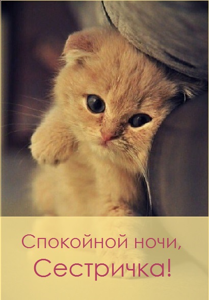 Картинки спокойной ночи сладких снов сестренка. Смотреть фото Картинки спокойной ночи сладких снов сестренка. Смотреть картинку Картинки спокойной ночи сладких снов сестренка. Картинка про Картинки спокойной ночи сладких снов сестренка. Фото Картинки спокойной ночи сладких снов сестренка