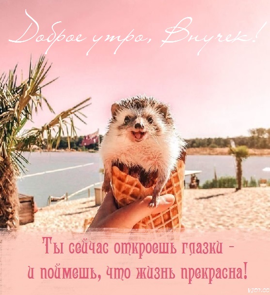 Красивые картинки - Доброе утро, внук! (30 фото)