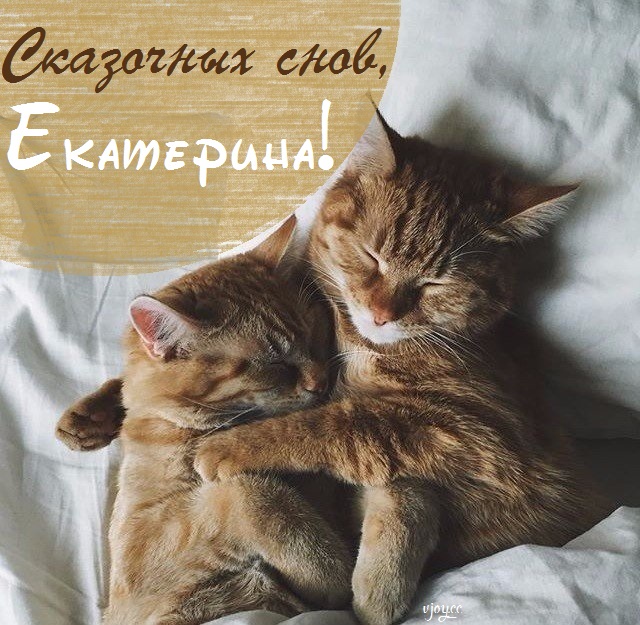 Кать сладких снов спокойной ночи всем. Смотреть фото Кать сладких снов спокойной ночи всем. Смотреть картинку Кать сладких снов спокойной ночи всем. Картинка про Кать сладких снов спокойной ночи всем. Фото Кать сладких снов спокойной ночи всем