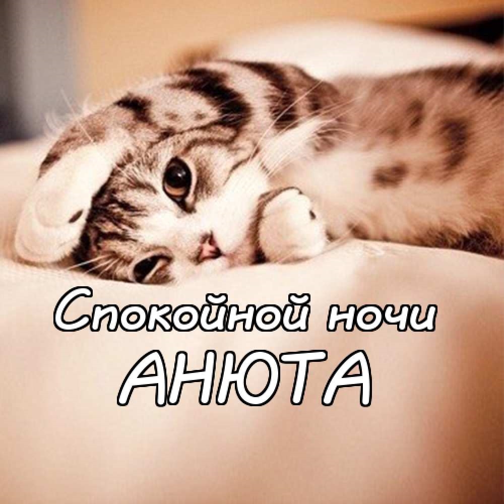 Аня спокойной ночи сладких снов. Смотреть фото Аня спокойной ночи сладких снов. Смотреть картинку Аня спокойной ночи сладких снов. Картинка про Аня спокойной ночи сладких снов. Фото Аня спокойной ночи сладких снов