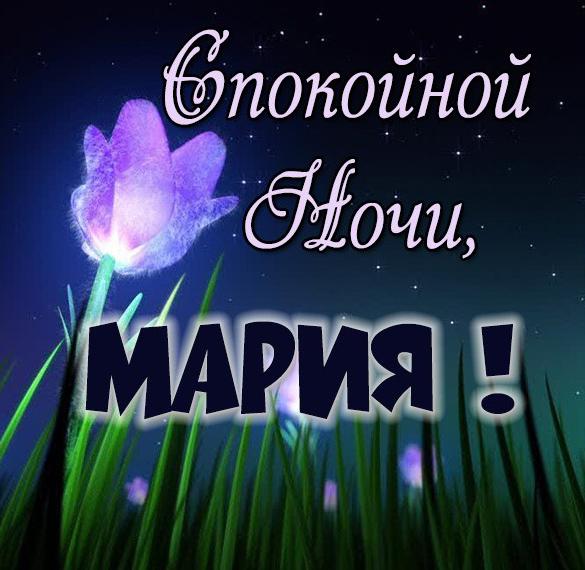 Маша и медведь сладких снов картинки. otkrytka spokojnoj nochi mariya. Маша и медведь сладких снов картинки фото. Маша и медведь сладких снов картинки-otkrytka spokojnoj nochi mariya. картинка Маша и медведь сладких снов картинки. картинка otkrytka spokojnoj nochi mariya. Маша, сладких тебе снов! Предлагаем вашему вниманию красивые картинки — Спокойной ночи, Мария!