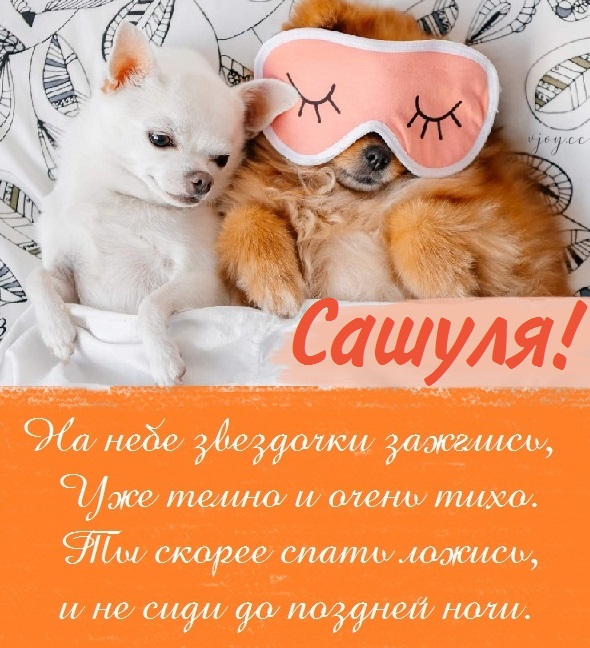 Картинка добрых снов саша. Смотреть фото Картинка добрых снов саша. Смотреть картинку Картинка добрых снов саша. Картинка про Картинка добрых снов саша. Фото Картинка добрых снов саша