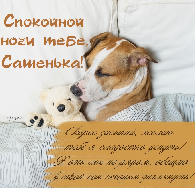 Картинка добрых снов саша. Смотреть фото Картинка добрых снов саша. Смотреть картинку Картинка добрых снов саша. Картинка про Картинка добрых снов саша. Фото Картинка добрых снов саша