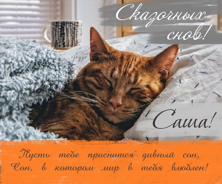 Картинка добрых снов саша. Смотреть фото Картинка добрых снов саша. Смотреть картинку Картинка добрых снов саша. Картинка про Картинка добрых снов саша. Фото Картинка добрых снов саша