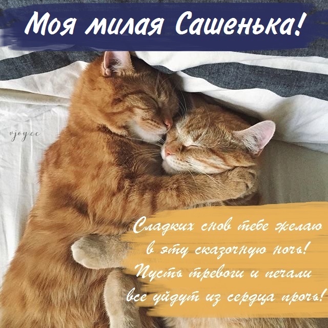 Картинка добрых снов саша. Смотреть фото Картинка добрых снов саша. Смотреть картинку Картинка добрых снов саша. Картинка про Картинка добрых снов саша. Фото Картинка добрых снов саша