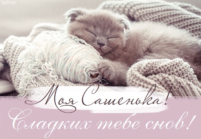 Картинка добрых снов саша. Смотреть фото Картинка добрых снов саша. Смотреть картинку Картинка добрых снов саша. Картинка про Картинка добрых снов саша. Фото Картинка добрых снов саша