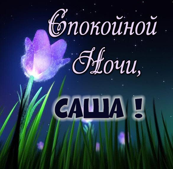 Картинка добрых снов саша. Смотреть фото Картинка добрых снов саша. Смотреть картинку Картинка добрых снов саша. Картинка про Картинка добрых снов саша. Фото Картинка добрых снов саша