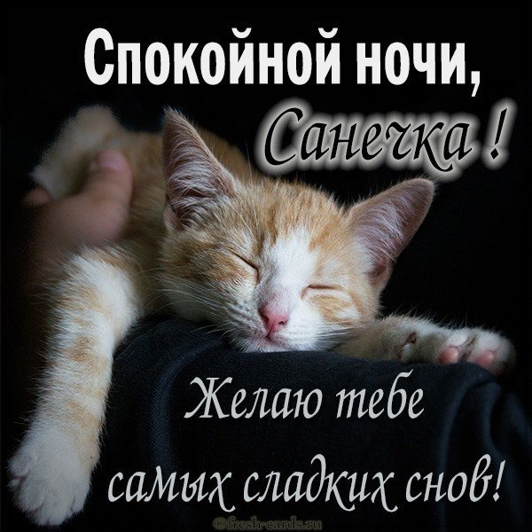 Картинка добрых снов саша. Смотреть фото Картинка добрых снов саша. Смотреть картинку Картинка добрых снов саша. Картинка про Картинка добрых снов саша. Фото Картинка добрых снов саша