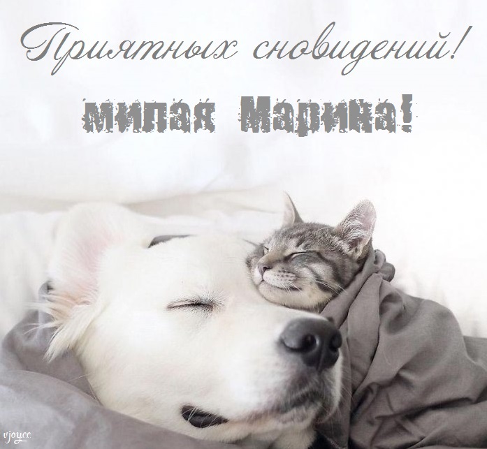 Картинки сладких снов мариночка. Смотреть фото Картинки сладких снов мариночка. Смотреть картинку Картинки сладких снов мариночка. Картинка про Картинки сладких снов мариночка. Фото Картинки сладких снов мариночка