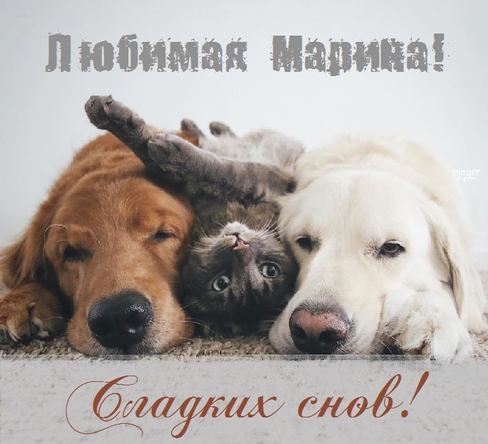 Картинки сладких снов мариночка. Смотреть фото Картинки сладких снов мариночка. Смотреть картинку Картинки сладких снов мариночка. Картинка про Картинки сладких снов мариночка. Фото Картинки сладких снов мариночка