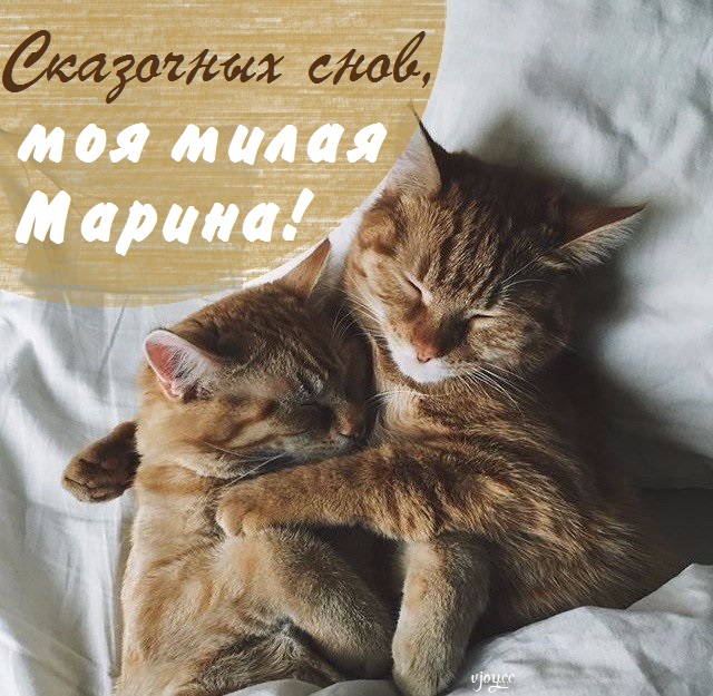 Картинки сладких снов мариночка. Смотреть фото Картинки сладких снов мариночка. Смотреть картинку Картинки сладких снов мариночка. Картинка про Картинки сладких снов мариночка. Фото Картинки сладких снов мариночка
