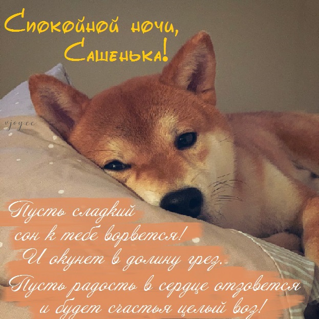 Картинка добрых снов саша. Смотреть фото Картинка добрых снов саша. Смотреть картинку Картинка добрых снов саша. Картинка про Картинка добрых снов саша. Фото Картинка добрых снов саша