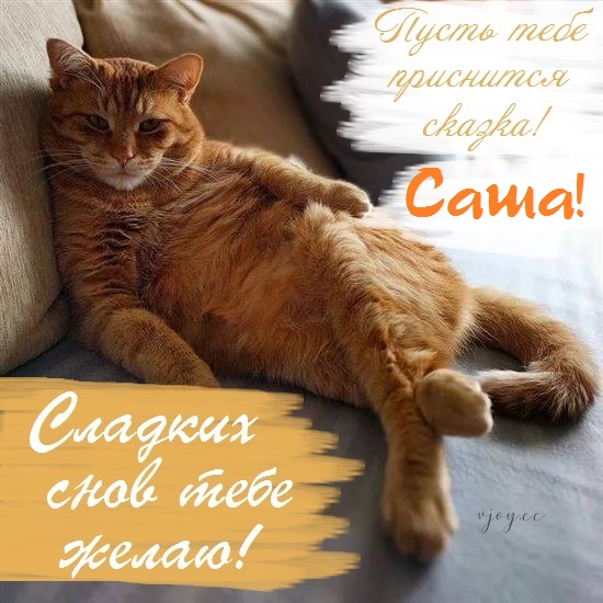 Картинка добрых снов саша. Смотреть фото Картинка добрых снов саша. Смотреть картинку Картинка добрых снов саша. Картинка про Картинка добрых снов саша. Фото Картинка добрых снов саша