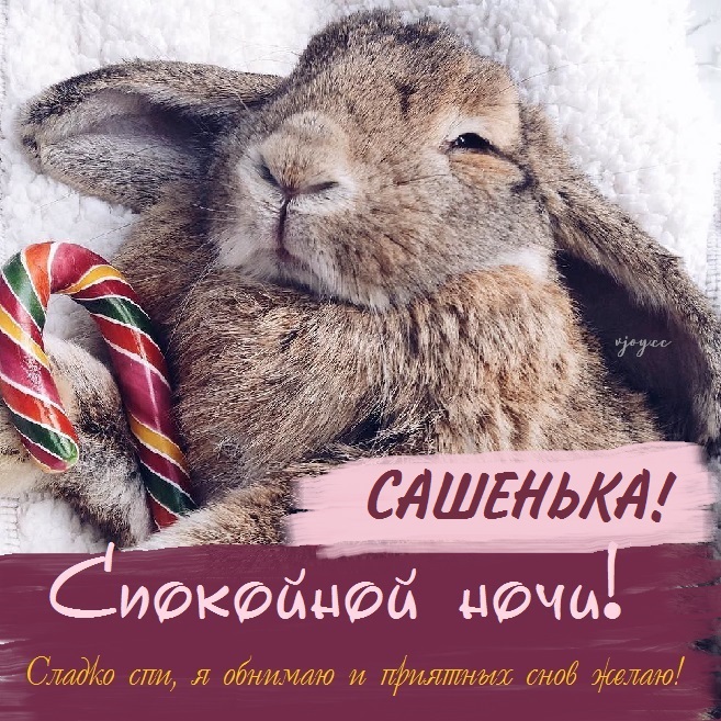 Картинка добрых снов саша. Смотреть фото Картинка добрых снов саша. Смотреть картинку Картинка добрых снов саша. Картинка про Картинка добрых снов саша. Фото Картинка добрых снов саша