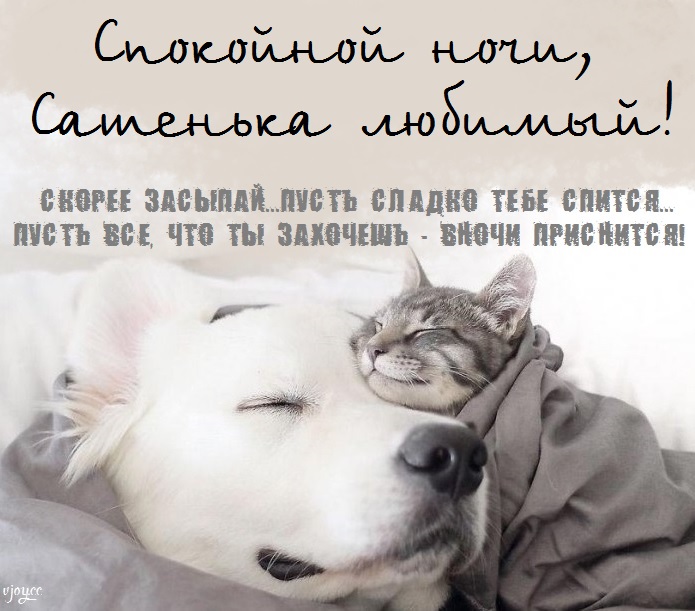 Картинка добрых снов саша. Смотреть фото Картинка добрых снов саша. Смотреть картинку Картинка добрых снов саша. Картинка про Картинка добрых снов саша. Фото Картинка добрых снов саша